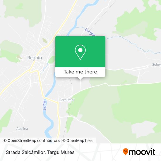 Strada Salcâmilor map
