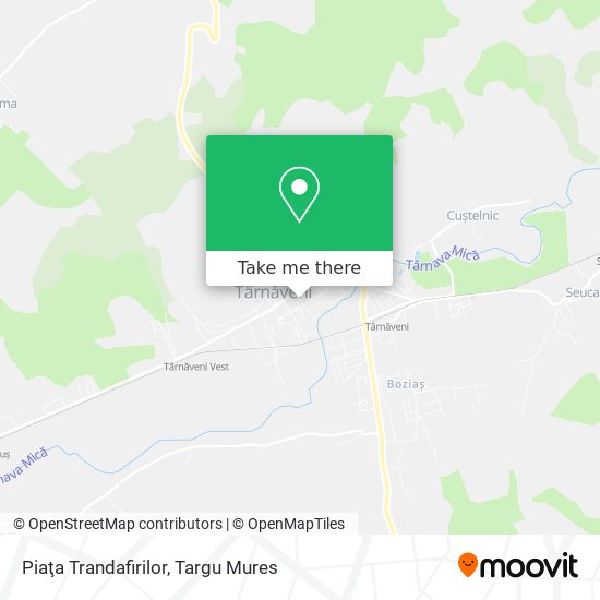 Piaţa Trandafirilor map