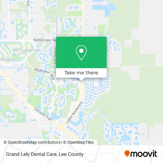 Grand Lely Dental Care map