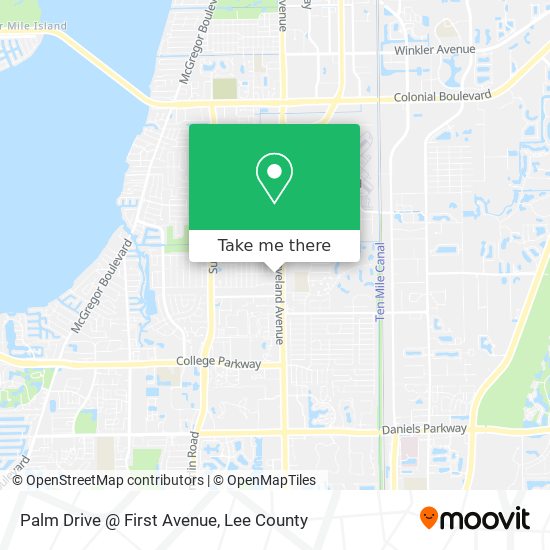 Palm Drive @ First Avenue map