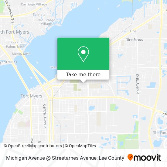 Michigan Avenue @ Streetarnes Avenue map