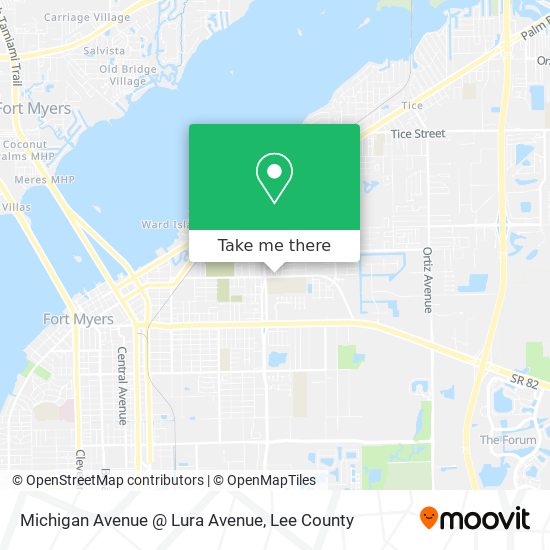 Michigan Avenue @ Lura Avenue map