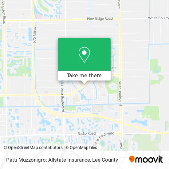 Mapa de Patti Muzzonigro: Allstate Insurance