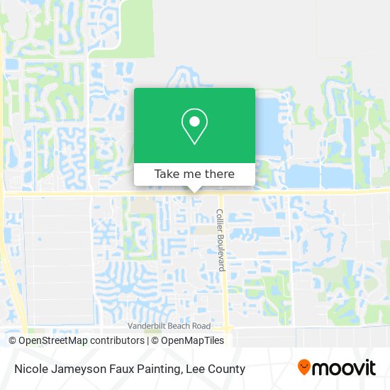 Nicole Jameyson Faux Painting map