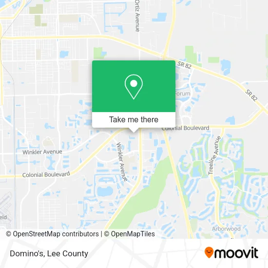 Domino's map