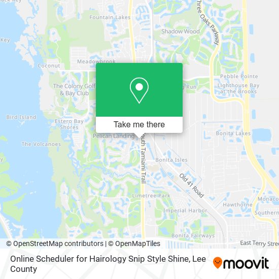 Online Scheduler for Hairology Snip Style Shine map