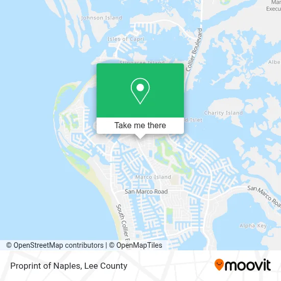 Proprint of Naples map