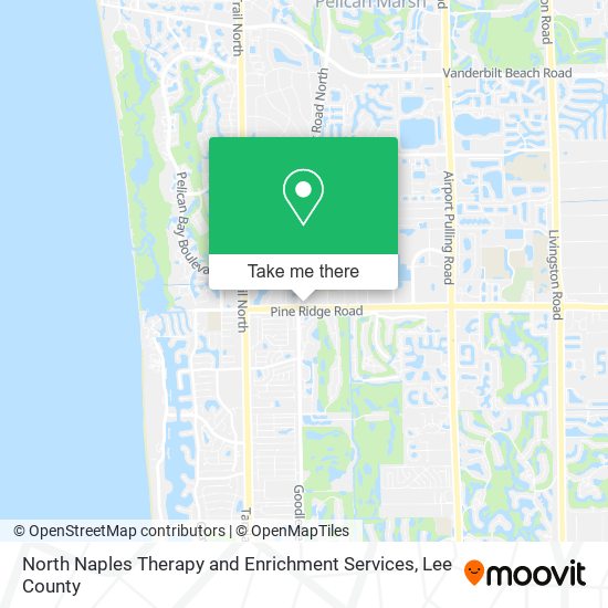 North Naples Therapy and Enrichment Services map