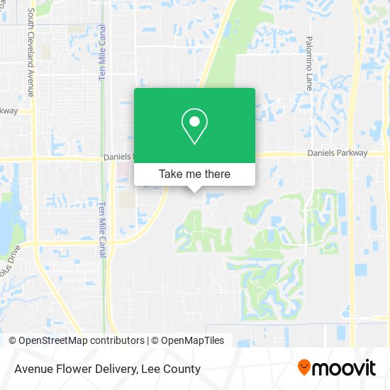 Mapa de Avenue Flower Delivery
