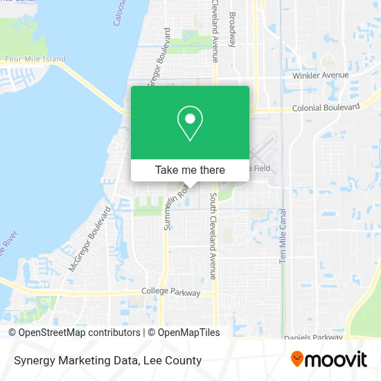 Synergy Marketing Data map