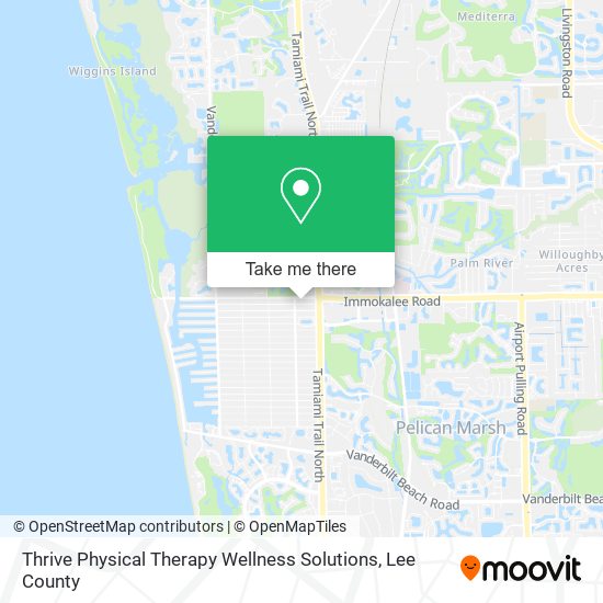 Thrive Physical Therapy Wellness Solutions map