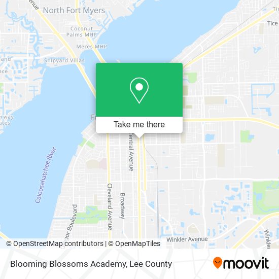 Mapa de Blooming Blossoms Academy