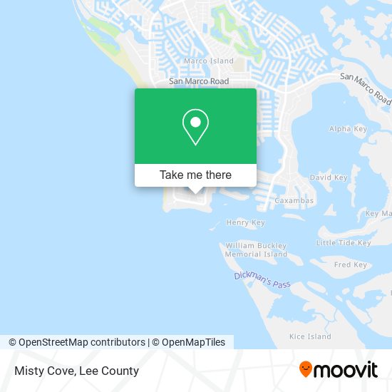 Misty Cove map