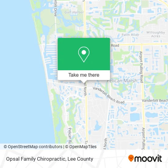 Opsal Family Chiropractic map