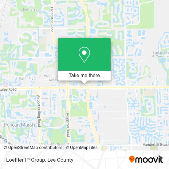 Loeffler IP Group map