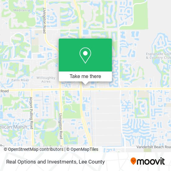 Mapa de Real Options and Investments