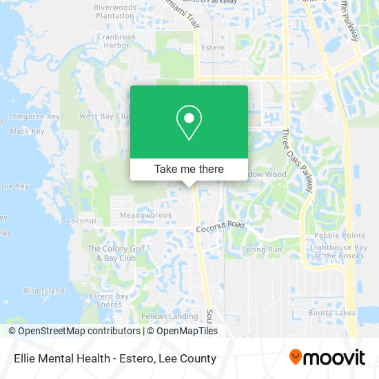 Ellie Mental Health - Estero map