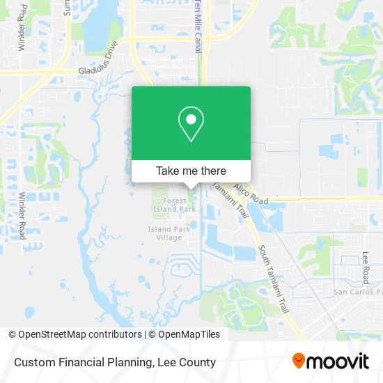 Custom Financial Planning map