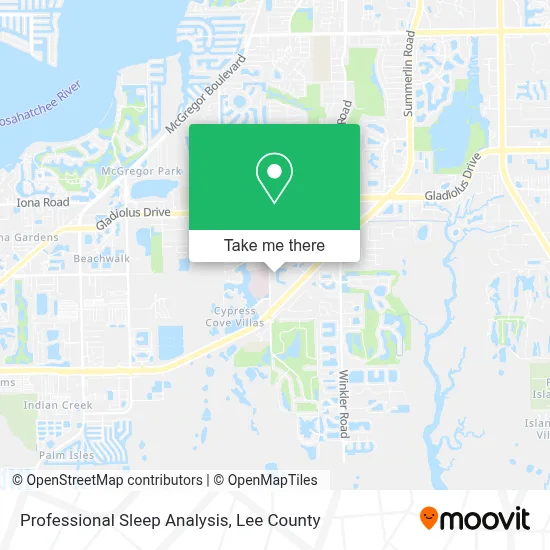 Professional Sleep Analysis map