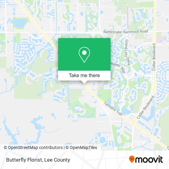Butterfly Florist map