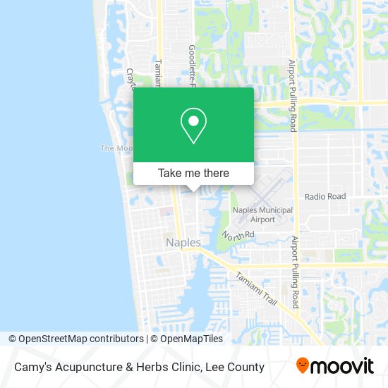 Camy's Acupuncture & Herbs Clinic map