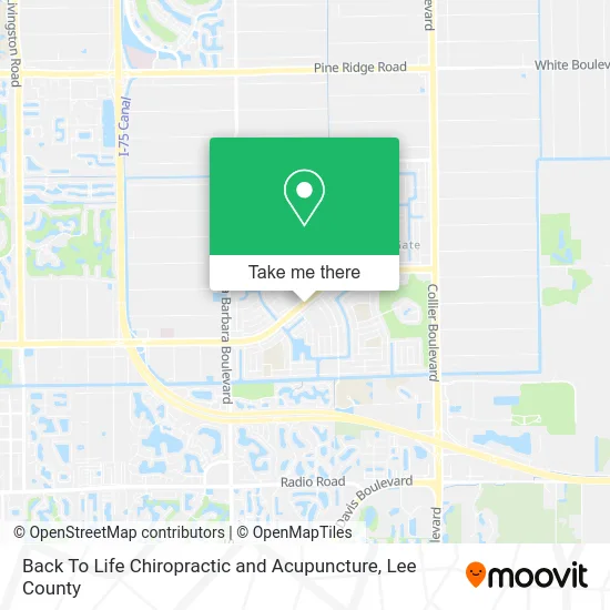 Back To Life Chiropractic and Acupuncture map