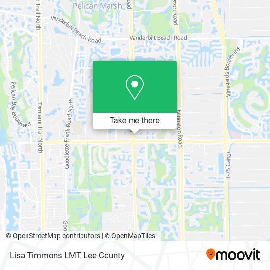Lisa Timmons LMT map