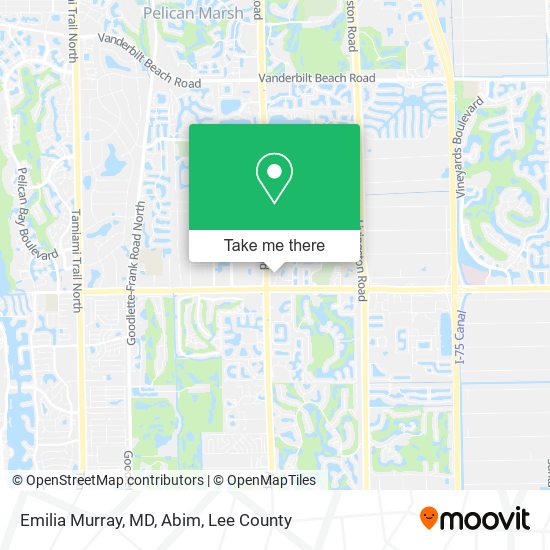 Emilia Murray, MD, Abim map