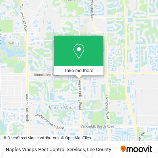 Naples Wasps Pest Control Services map