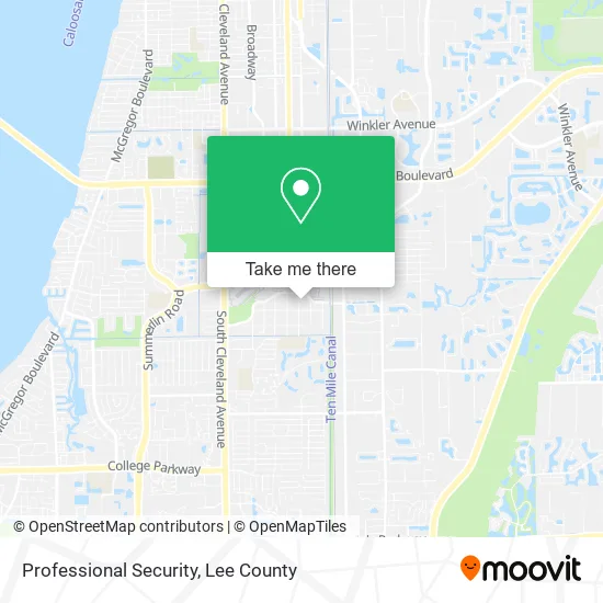 Professional Security map