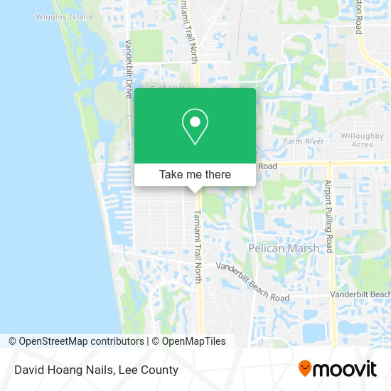 David Hoang Nails map