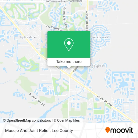 Muscle And Joint Relief map