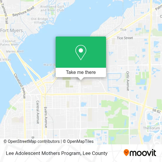 Lee Adolescent Mothers Program map