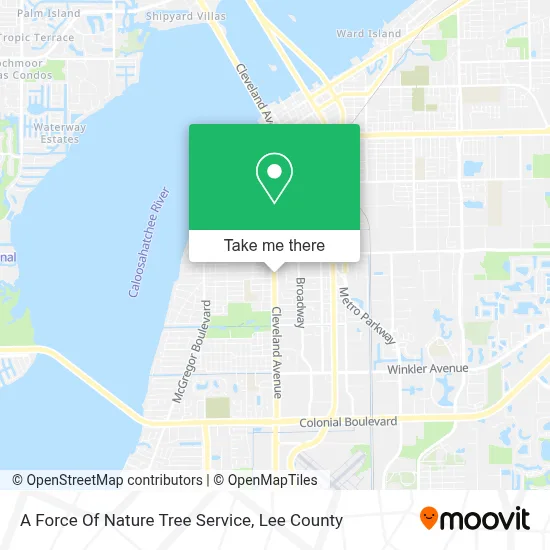 A Force Of Nature Tree Service map