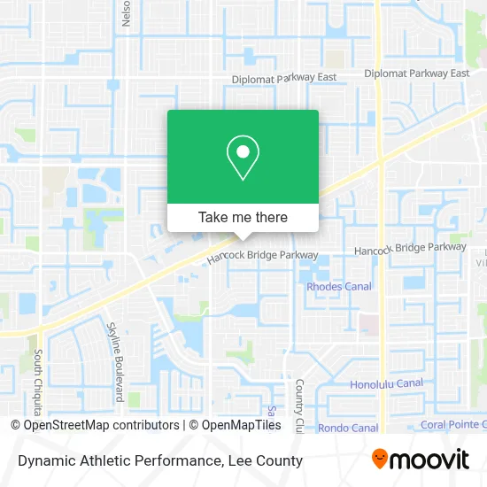 Dynamic Athletic Performance map