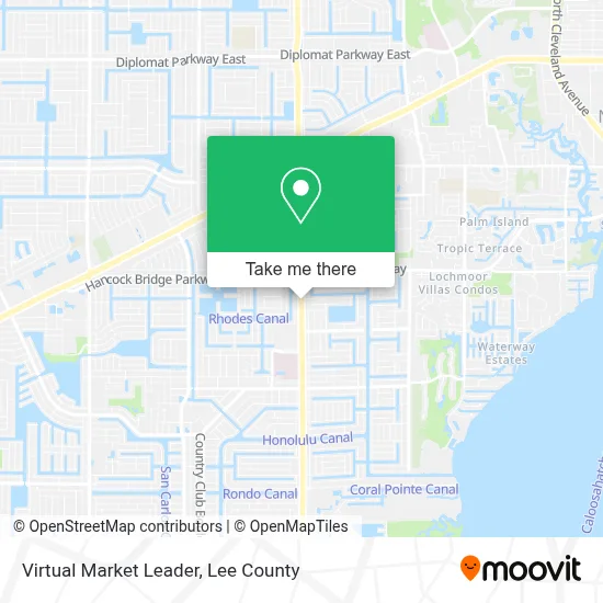 Virtual Market Leader map