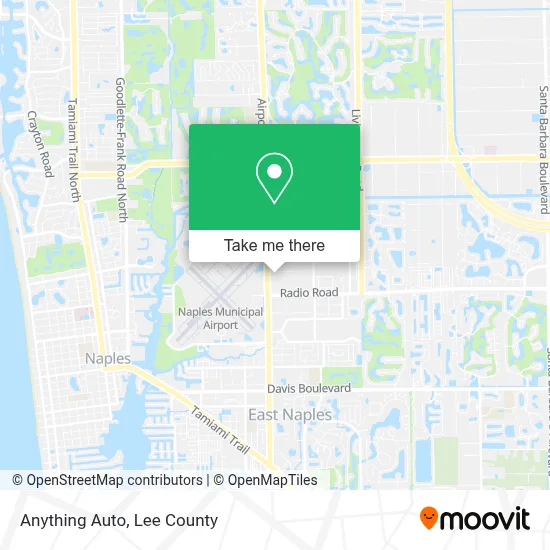 Anything Auto map