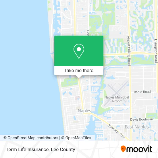 Term Life Insurance map