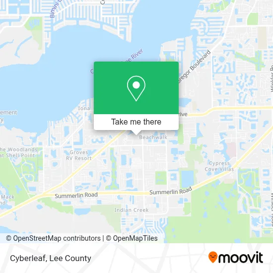 Cyberleaf map