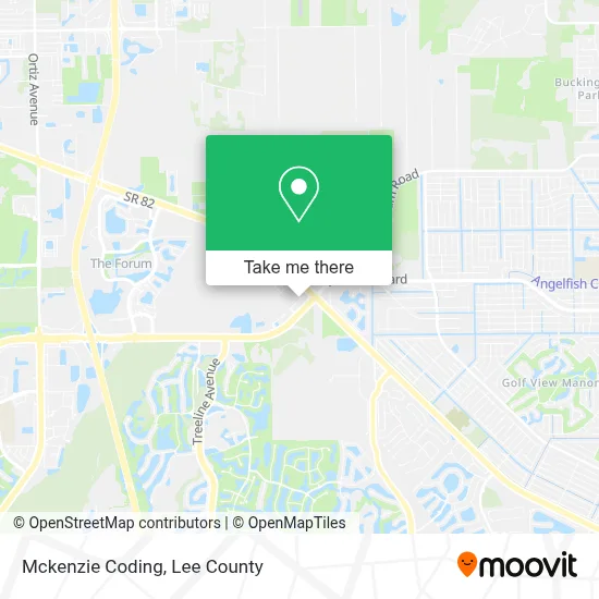 Mckenzie Coding map
