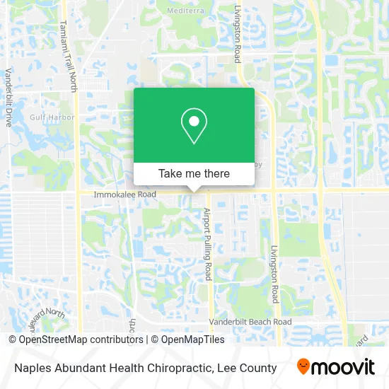 Naples Abundant Health Chiropractic map