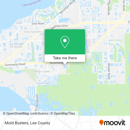 Mold Busters map
