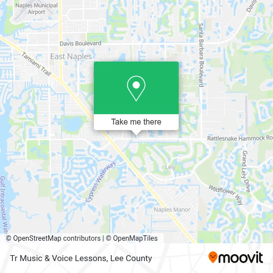 Tr Music & Voice Lessons map