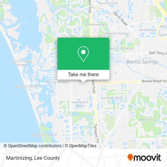 Martinizing map