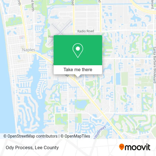 Ody Process map