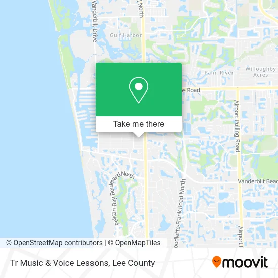 Tr Music & Voice Lessons map