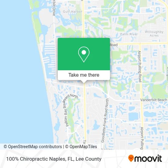 100% Chiropractic Naples, FL map
