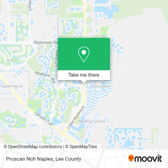 Proscan Nch Naples map
