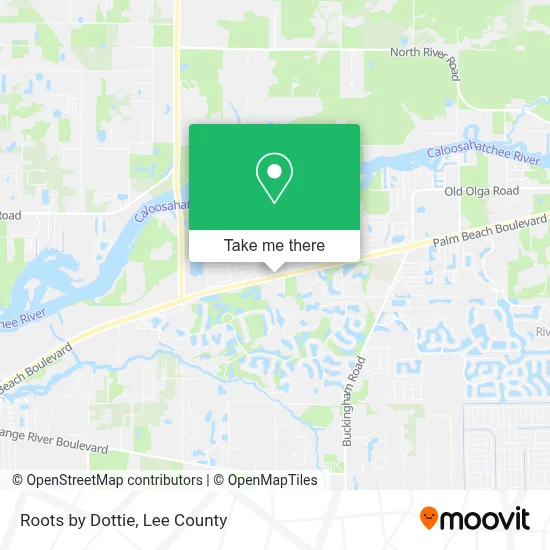 Roots by Dottie map
