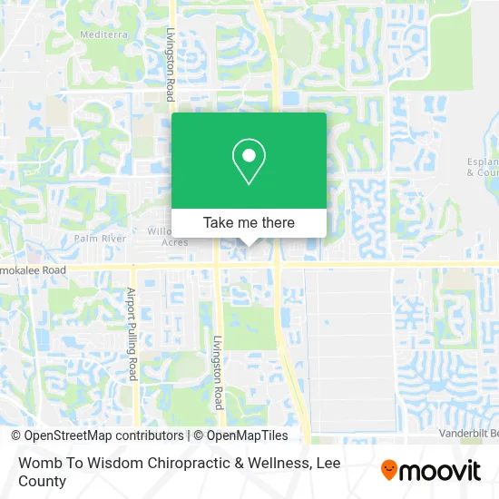 Womb To Wisdom Chiropractic & Wellness map